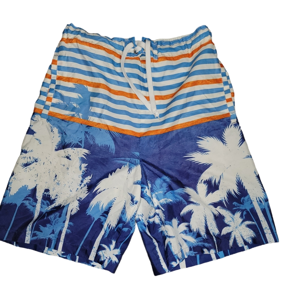 Vintage Original Deluxe Brand Board Shorts Swim Trunks Stripes Tropical Large